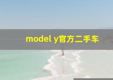 model y官方二手车